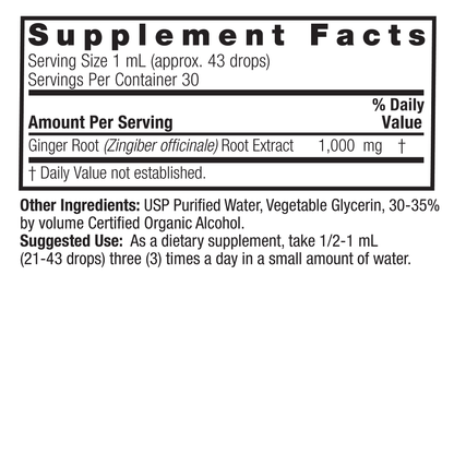 Ginger Root Extract 1040mg - Nature's Answer®